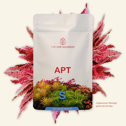 The 2Hr Aquarist APT Sky 70gr