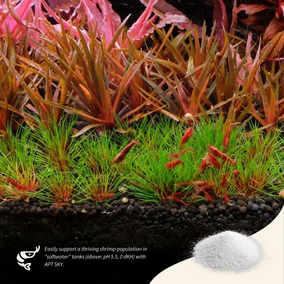 The 2Hr Aquarist APT Sky 70gr