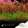 The 2Hr Aquarist APT Sky 70gr