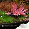 The 2Hr Aquarist APT Sky 70gr