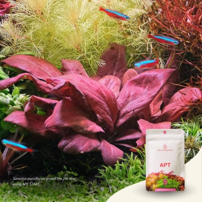 The 2Hr Aquarist APT Start 45gr