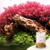 The 2Hr Aquarist APT Start 45gr