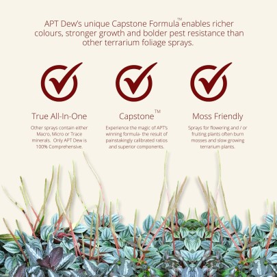 The 2Hr Aquarist APT D/Dew (Foliar) 100ml