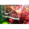 Aquario Neo Outlet L
