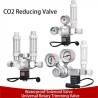 Yueqing Wyin CO2 Regulator R104X