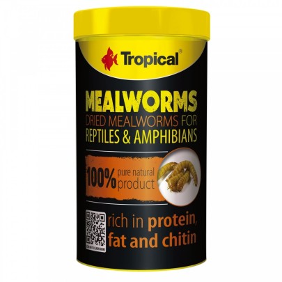 Tropical Meal Worms 100ml/13g