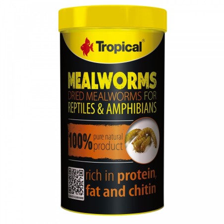 Tropical Meal Worms 100ml/13g