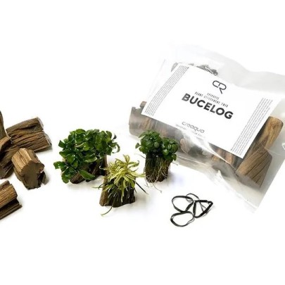 Creaqua Bucelog Akvaryum Bitki Bağlama Standı