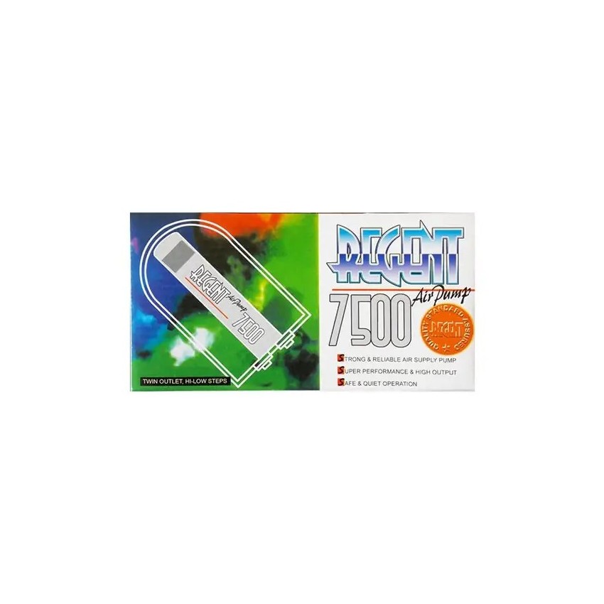 Regent 7500 Çift Çıkışlı Hava Motoru 3W