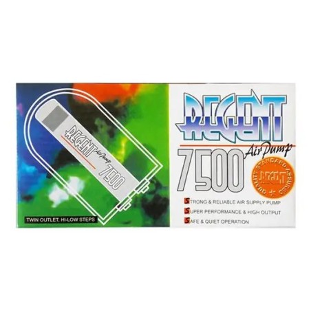 Regent 7500 Çift Çıkışlı Hava Motoru 3W