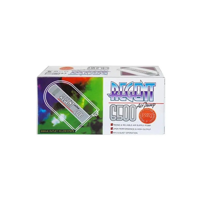 Regent 6500 Tek Çıkışlı Hava Motoru 2,4W
