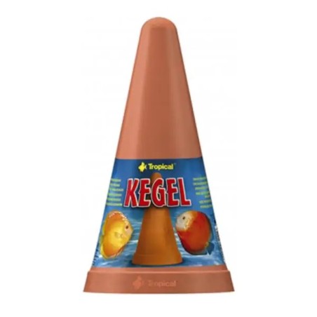 Tropical Kegel Yumurtlama Konisi