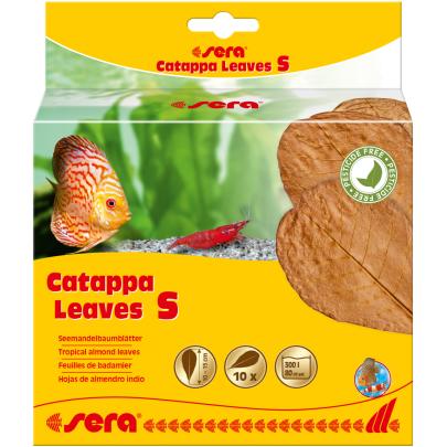 Sera Catappa Yaprağı S 14 Cm 10lu Paket