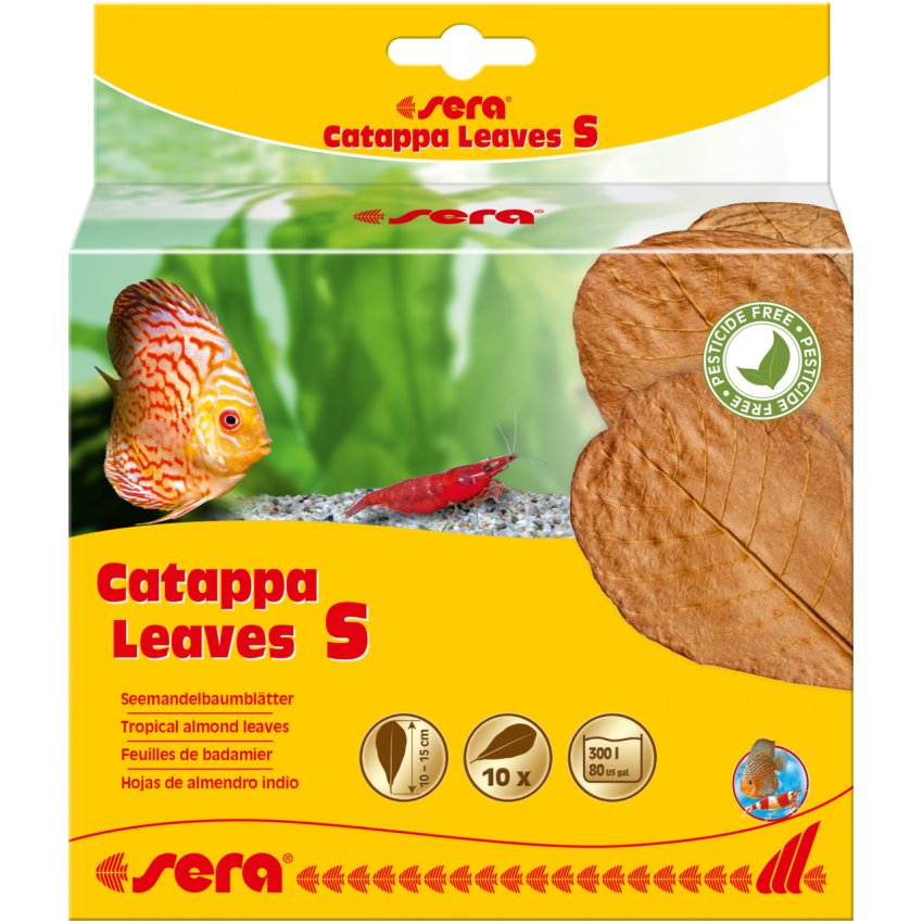 Sera Catappa Yaprağı S 14 Cm 10lu Paket Sera Catappa Yaprağı S 14 Cm 10lu Paket