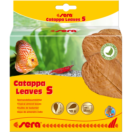 Sera Catappa Yaprağı S 14 Cm 10lu Paket