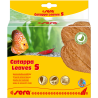 Sera Catappa Yaprağı S 14 Cm 10lu Paket