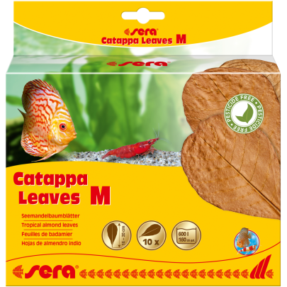 Sera Catappa Yaprağı M 18 Cm 10lu Paket