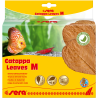 Sera Catappa Yaprağı M 18 Cm 10lu Paket