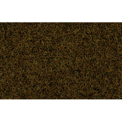 TetraPRO Algae Multi-Crisps 10L 1.9kg