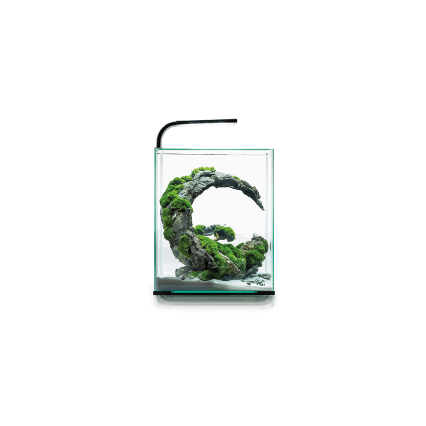 Aquael Shrimp Set Day&Night 30 Black Full Set Akvaryum Aquael Shrimp Set Day&Night 30 Black Full Set Akvaryum