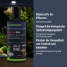 Dennerle All in One! Elixier, 100 ml